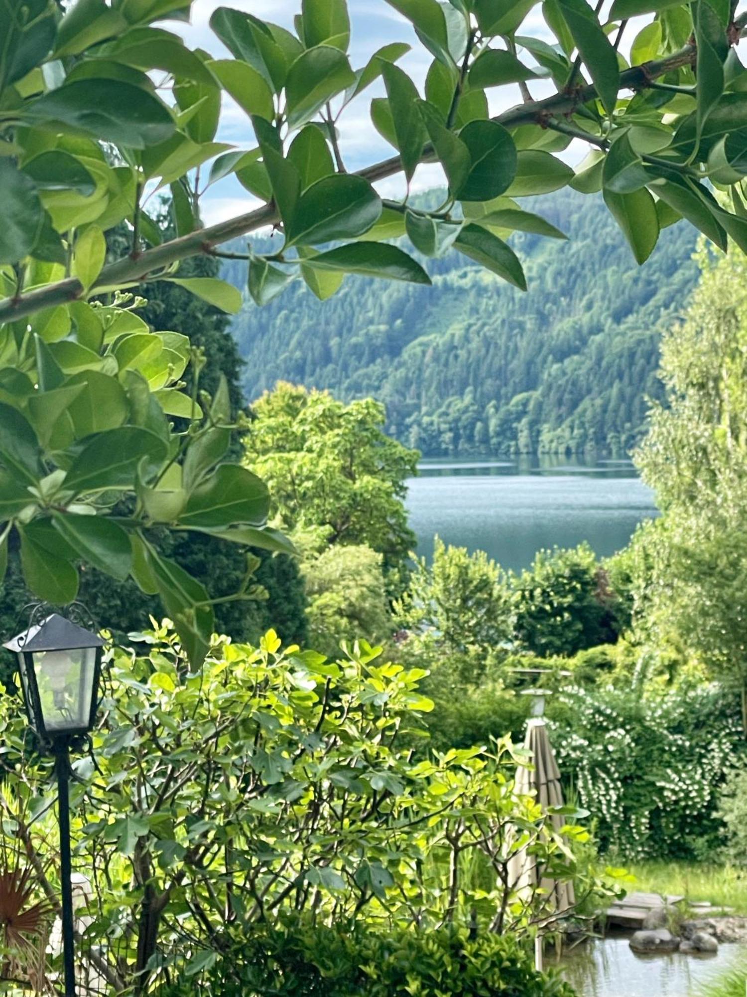 Villa Parkschlössl Millstatt am See Exterior foto